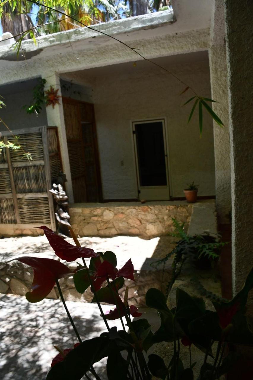La Playita Hostal San José del Cabo Exteriér fotografie