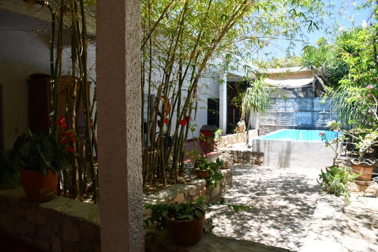La Playita Hostal San José del Cabo Exteriér fotografie